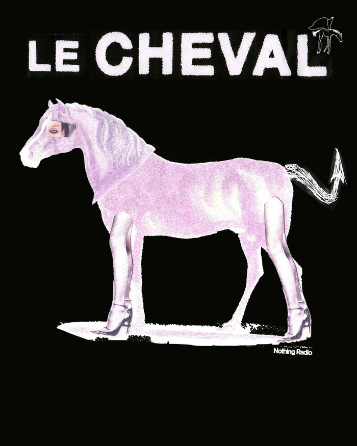 Le Cheval. a disco party.