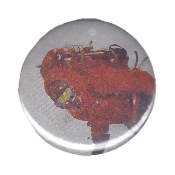 Pins